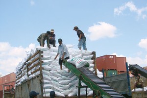 Thị trường phân đạm: vai trò của đại lý